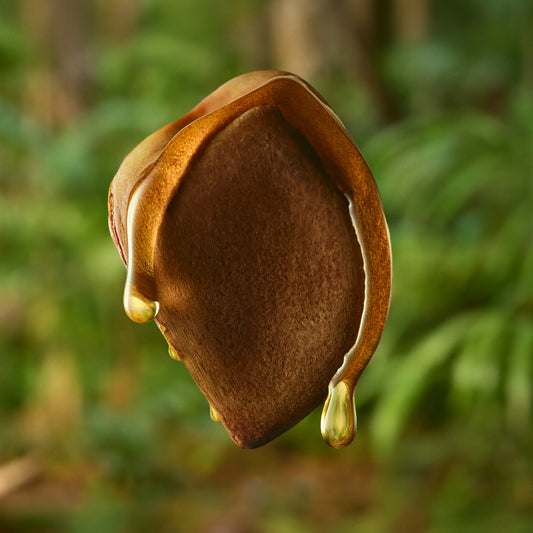 AR 024 - Natura Óleo Trifásico Desodorante Corporal Ekos Andiroba